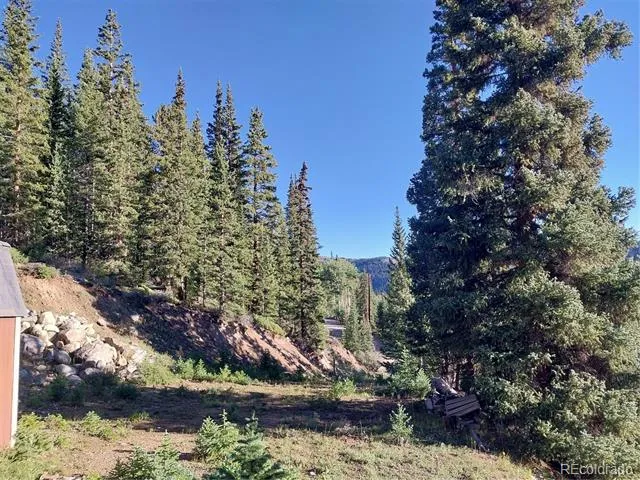 1062 Roberts Road Alma, CO 80420