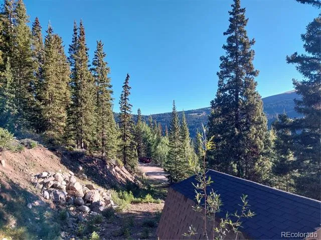 1062 Roberts Road Alma, CO 80420