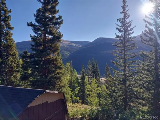 1062 Roberts Road Alma, CO 80420