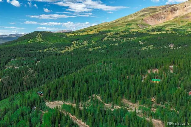 1062 Roberts Road Alma, CO 80420