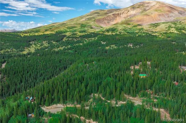 1062 Roberts Road Alma, CO 80420