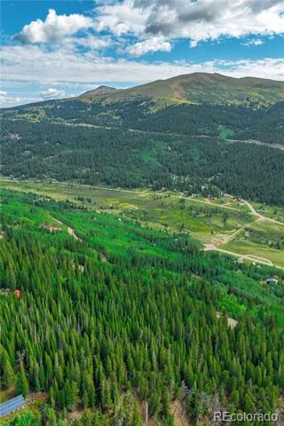 1062 Roberts Road Alma, CO 80420
