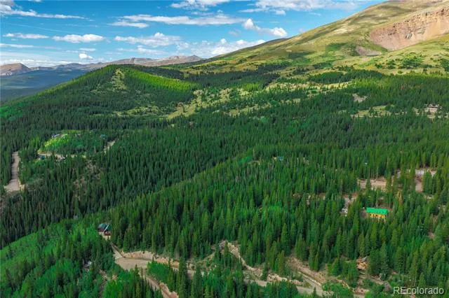 1062 Roberts Road Alma, CO 80420