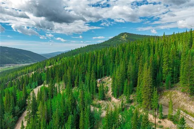 1062 Roberts Road Alma, CO 80420