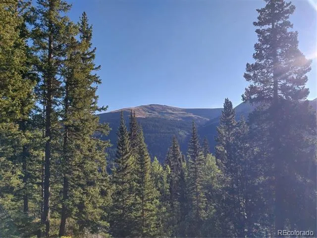 1062 Roberts Road Alma, CO 80420