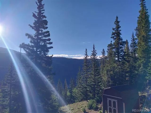 1062 Roberts Road Alma, CO 80420