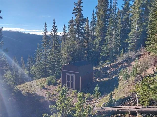 1062 Roberts Road Alma, CO 80420