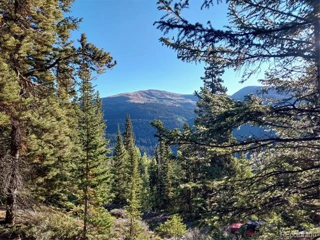 1062 Roberts Road Alma, CO 80420