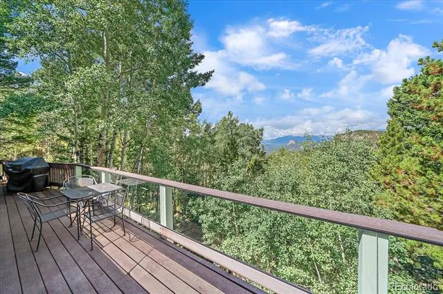 11471 Marks Drive Conifer, CO 80433