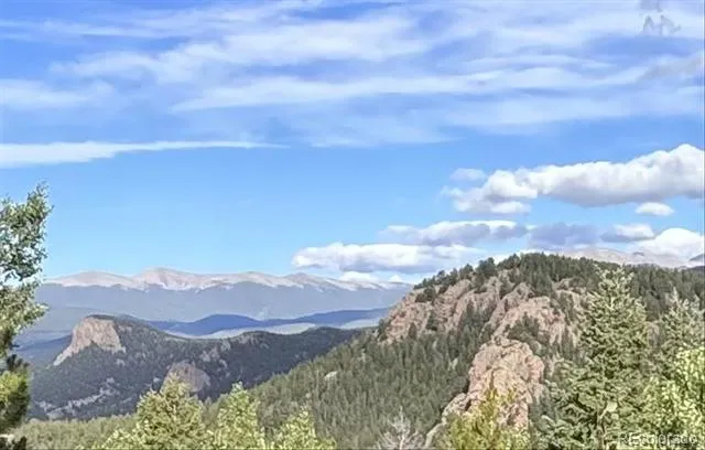 11471 Marks Drive Conifer, CO 80433