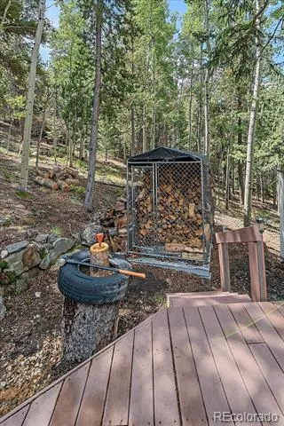 11471 Marks Drive Conifer, CO 80433