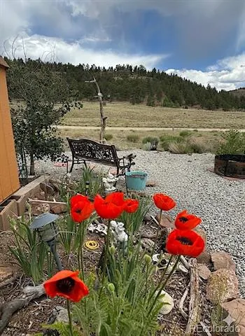119 Water Tank Circle Hartsel, CO 80449