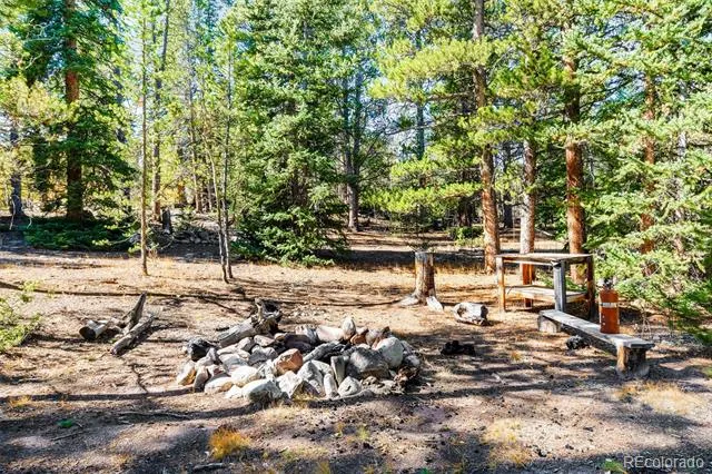 30 Serenity Court Fairplay, CO 80440
