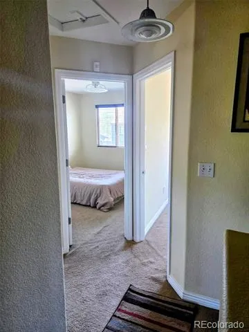 4873 Cornish Court Denver, CO 80239