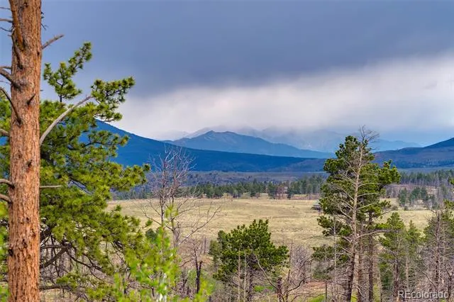 1034 Van Fossan Lane Fort Garland, CO 81133