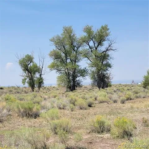 14717 County Road E5 Antonito, CO 81120