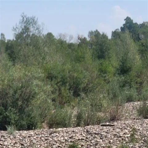 14717 County Road E5 Antonito, CO 81120