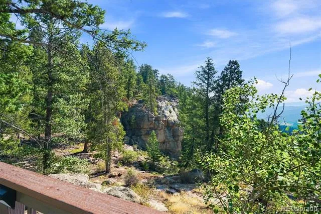 30851 Pike View Drive Conifer, CO 80433