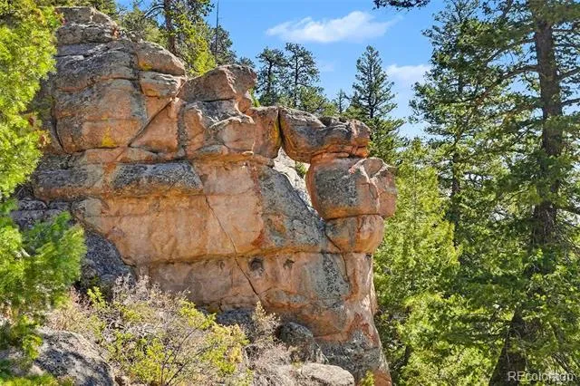 30851 Pike View Drive Conifer, CO 80433