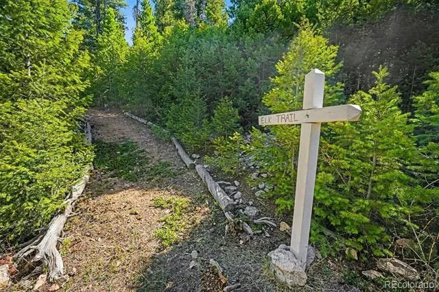 30851 Pike View Drive Conifer, CO 80433