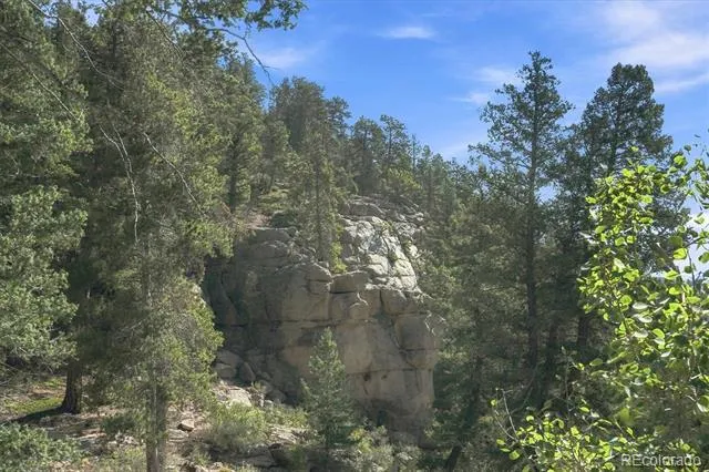 30851 Pike View Drive Conifer, CO 80433