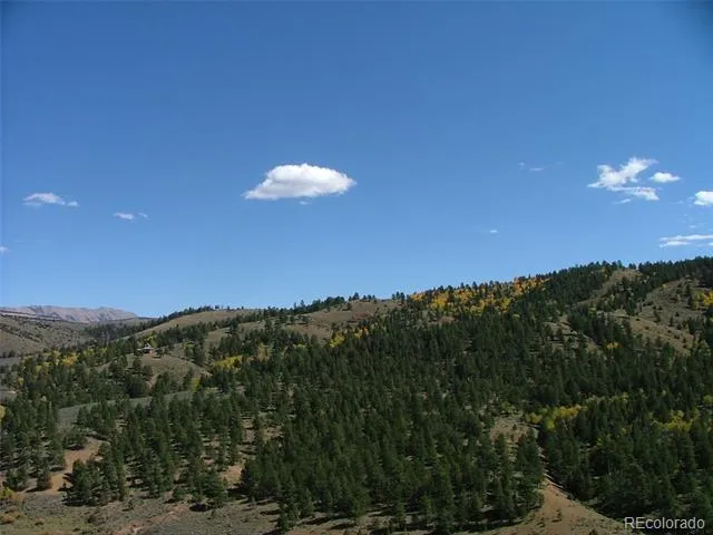 112 Lautenburg Drive Fort Garland, CO 81133