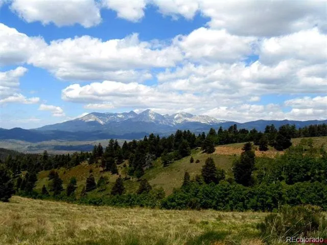 112 Lautenburg Drive Fort Garland, CO 81133