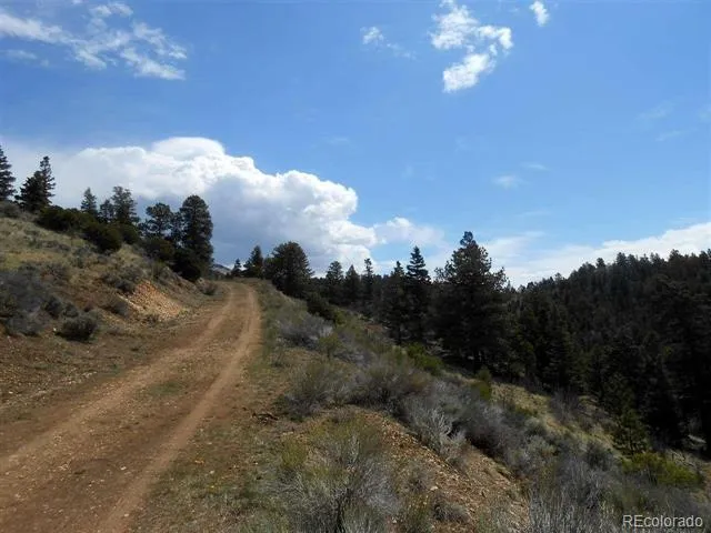 112 Lautenburg Drive Fort Garland, CO 81133