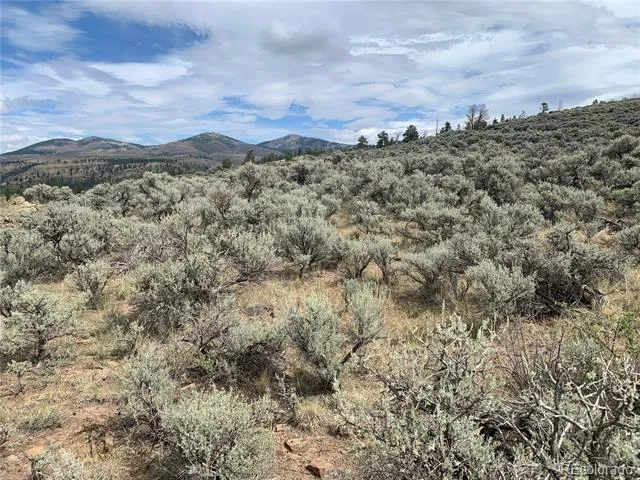 112 Lautenburg Drive Fort Garland, CO 81133