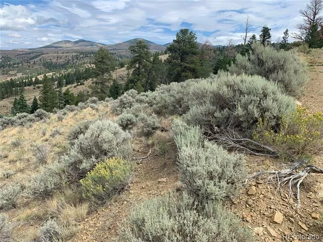 112 Lautenburg Drive Fort Garland, CO 81133