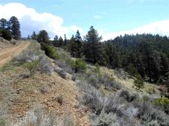 112 Lautenburg Drive Fort Garland, CO 81133