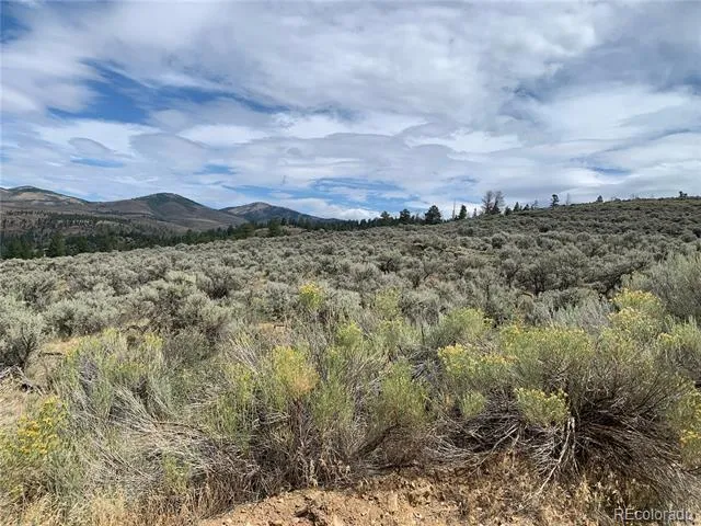 112 Lautenburg Drive Fort Garland, CO 81133