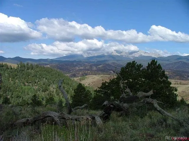 112 Lautenburg Drive Fort Garland, CO 81133