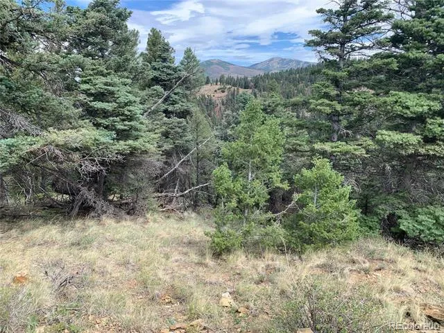 112 Lautenburg Drive Fort Garland, CO 81133