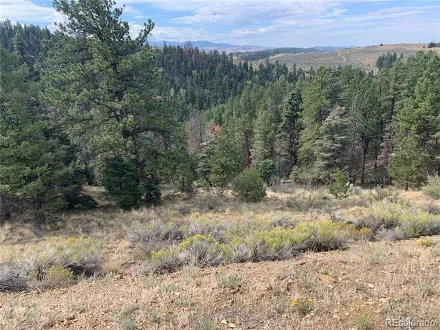 112 Lautenburg Drive Fort Garland, CO 81133