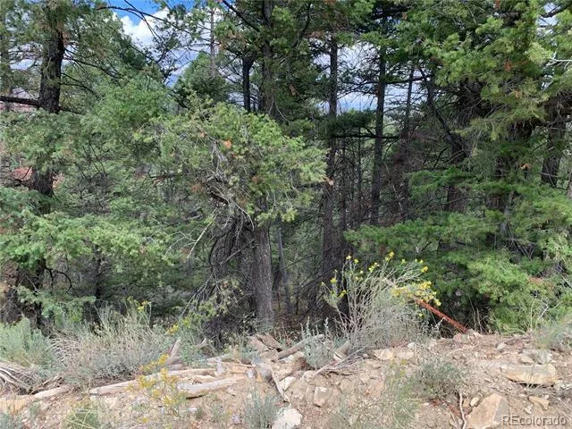 112 Lautenburg Drive Fort Garland, CO 81133
