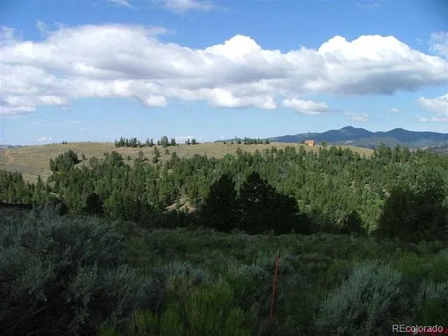 112 Lautenburg Drive Fort Garland, CO 81133