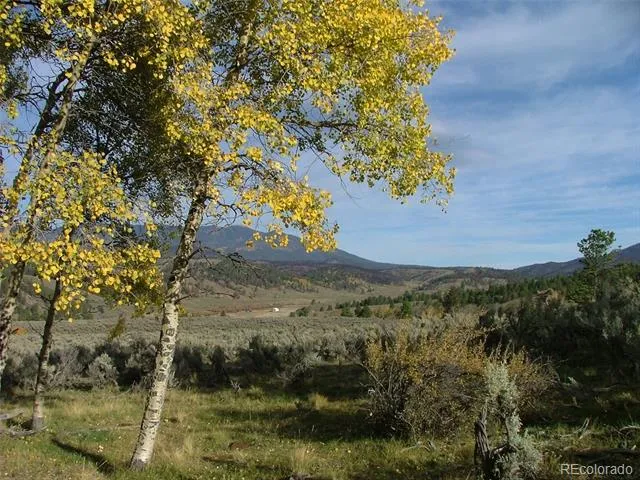 112 Lautenburg Drive Fort Garland, CO 81133