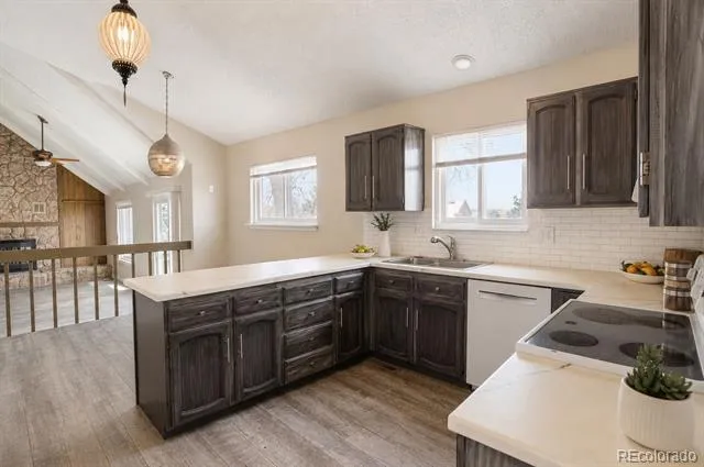 7209 Hyperion Way Parker, CO 80134