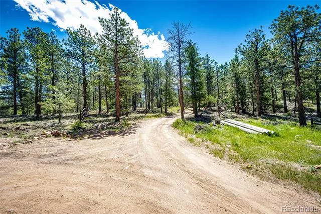 S Wandcrest Drive Pine, CO 80470
