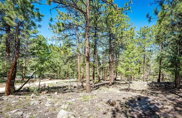 S Wandcrest Drive Pine, CO 80470