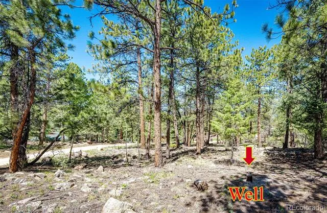 S Wandcrest Drive Pine, CO 80470