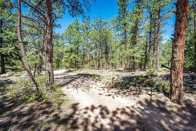S Wandcrest Drive Pine, CO 80470