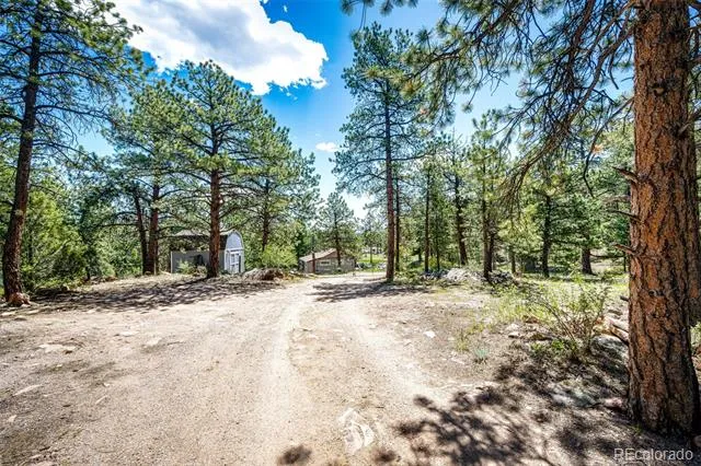 S Wandcrest Drive Pine, CO 80470