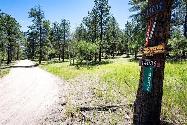 S Wandcrest Drive Pine, CO 80470