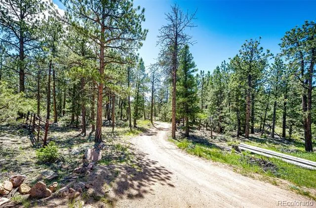 S Wandcrest Drive Pine, CO 80470