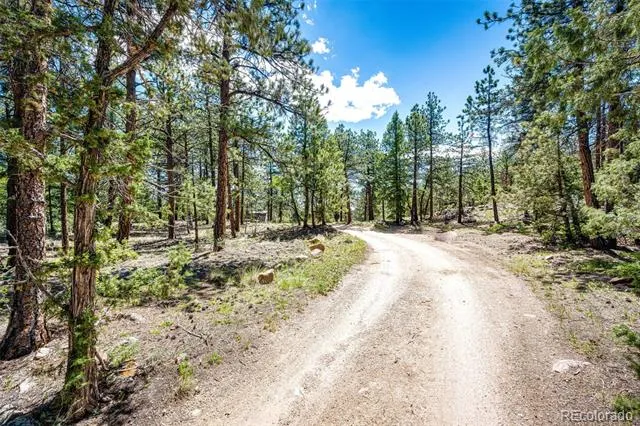 S Wandcrest Drive Pine, CO 80470