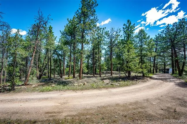 S Wandcrest Drive Pine, CO 80470