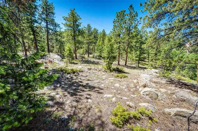 S Wandcrest Drive Pine, CO 80470
