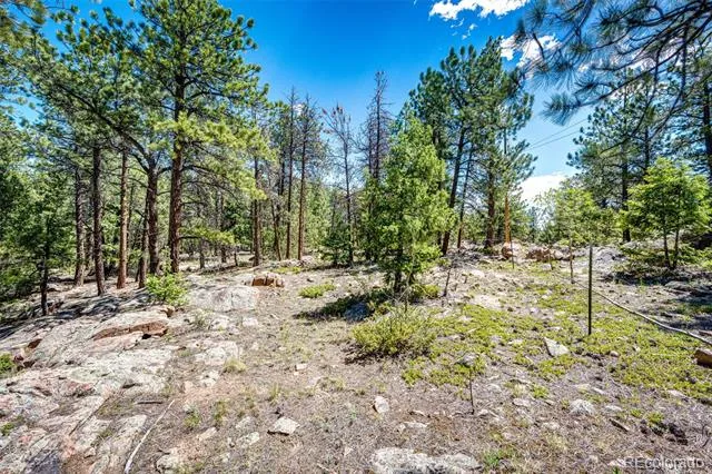 S Wandcrest Drive Pine, CO 80470